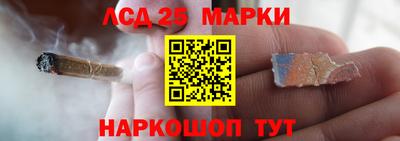 apvp Моздок