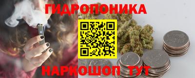 шишки Можга