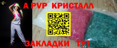 шишки Можга