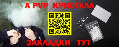 шишки Можга