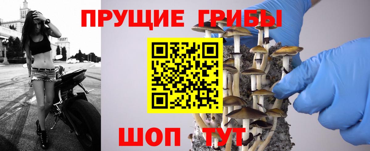 Псилоцибиновые грибы GOLDEN TEACHER Тольятти